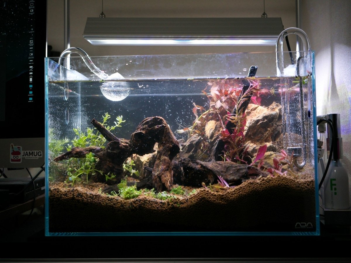 ADA キューブガーデン