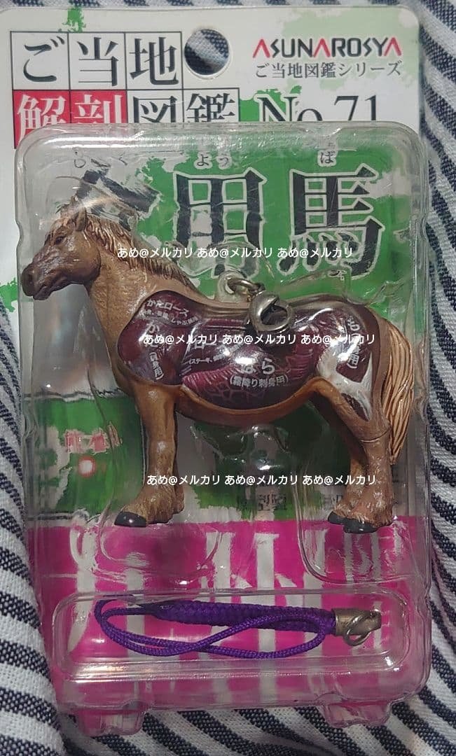 奇譚クラブ あすなろ舎 ご当地解剖図鑑 食用馬 九州